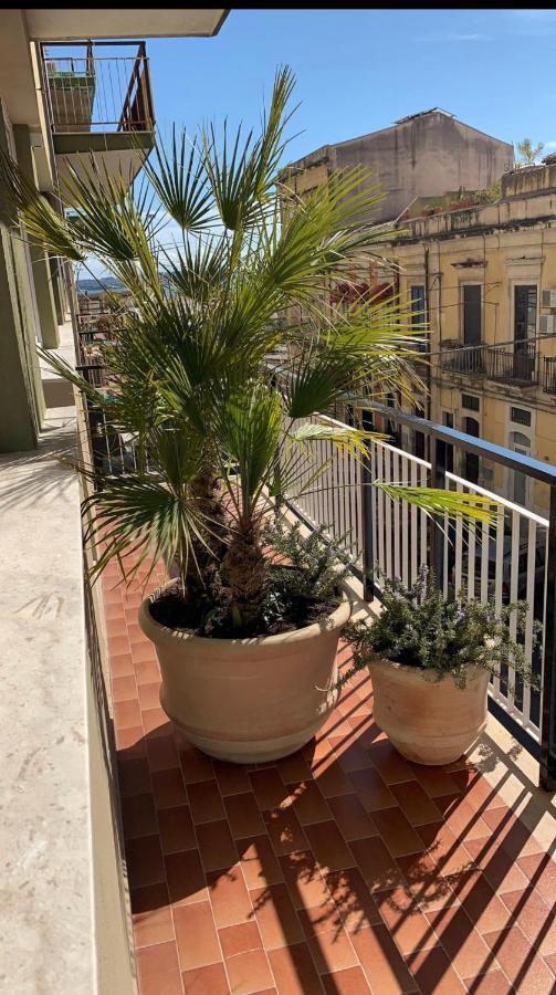시라쿠사 Near Ortigia B&B 외부 사진